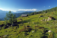 Wanderurlaub im Tal der Almen, Österreich